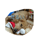 Ryu.sticker（個別スタンプ：2）