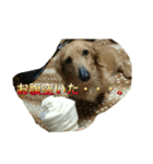 Ryu.sticker（個別スタンプ：4）