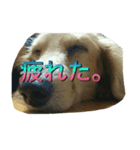 Ryu.sticker（個別スタンプ：7）