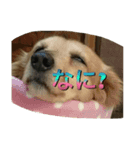Ryu.sticker（個別スタンプ：8）