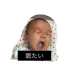 win＆brother＆sister（個別スタンプ：13）
