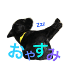 チャーリーくん（個別スタンプ：3）