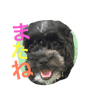 チャーリーくん（個別スタンプ：5）