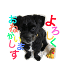 チャーリーくん（個別スタンプ：7）
