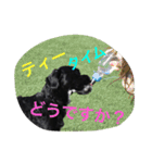 チャーリーくん（個別スタンプ：14）