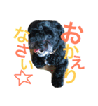 チャーリーくん（個別スタンプ：16）