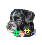 チャーリーくん（個別スタンプ：20）