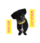 チャーリーくん（個別スタンプ：26）