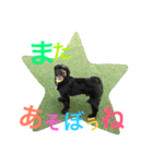 チャーリーくん（個別スタンプ：31）