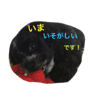 チャーリーくん（個別スタンプ：39）