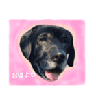 ほるん（個別スタンプ：3）