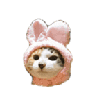 ねこのねねちゃんスタンプ（個別スタンプ：18）