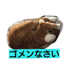 kinabo（個別スタンプ：6）