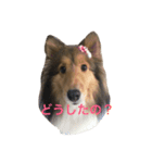 ティアラとレディ（個別スタンプ：3）