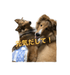 ティアラとレディ（個別スタンプ：8）