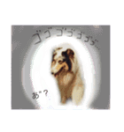 ティナとコリーの仲間たち（個別スタンプ：22）