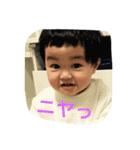 晴ちゃん0126（個別スタンプ：11）
