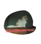 Barbie Fatcat（個別スタンプ：1）