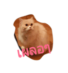 Barbie Fatcat（個別スタンプ：2）