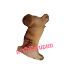Barbie Fatcat（個別スタンプ：5）