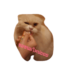 Barbie Fatcat（個別スタンプ：6）