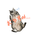 ＊ゆこめゆち＊（個別スタンプ：1）