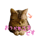 ＊ゆこめゆち＊（個別スタンプ：2）