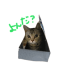 ＊ゆこめゆち＊（個別スタンプ：3）