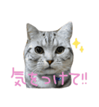 ＊ゆこめゆち＊（個別スタンプ：4）