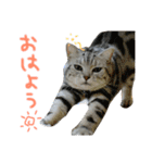 ＊ゆこめゆち＊（個別スタンプ：9）