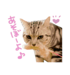 ＊ゆこめゆち＊（個別スタンプ：12）