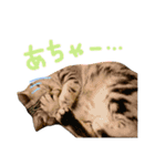 ＊ゆこめゆち＊（個別スタンプ：13）