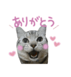 ＊ゆこめゆち＊（個別スタンプ：14）