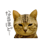 ＊ゆこめゆち＊（個別スタンプ：19）