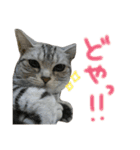＊ゆこめゆち＊（個別スタンプ：22）