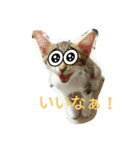 むふみぃた 2（個別スタンプ：2）