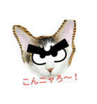 むふみぃた 2（個別スタンプ：5）