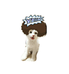 むふみぃた 2（個別スタンプ：9）