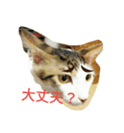 むふみぃた 2（個別スタンプ：10）