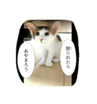 むふみぃた 2（個別スタンプ：14）