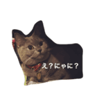 モモコの猫（個別スタンプ：2）