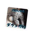 hinata's stamp third（個別スタンプ：14）