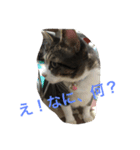 コテツの日常会話（個別スタンプ：3）