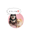 pino with funny friends（個別スタンプ：1）