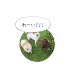pino with funny friends（個別スタンプ：2）