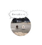 pino with funny friends（個別スタンプ：4）