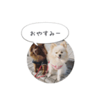 pino with funny friends（個別スタンプ：5）