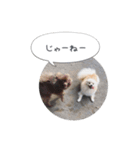pino with funny friends（個別スタンプ：8）