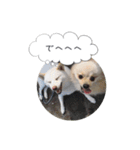 pino with funny friends（個別スタンプ：9）