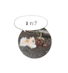 pino with funny friends（個別スタンプ：12）